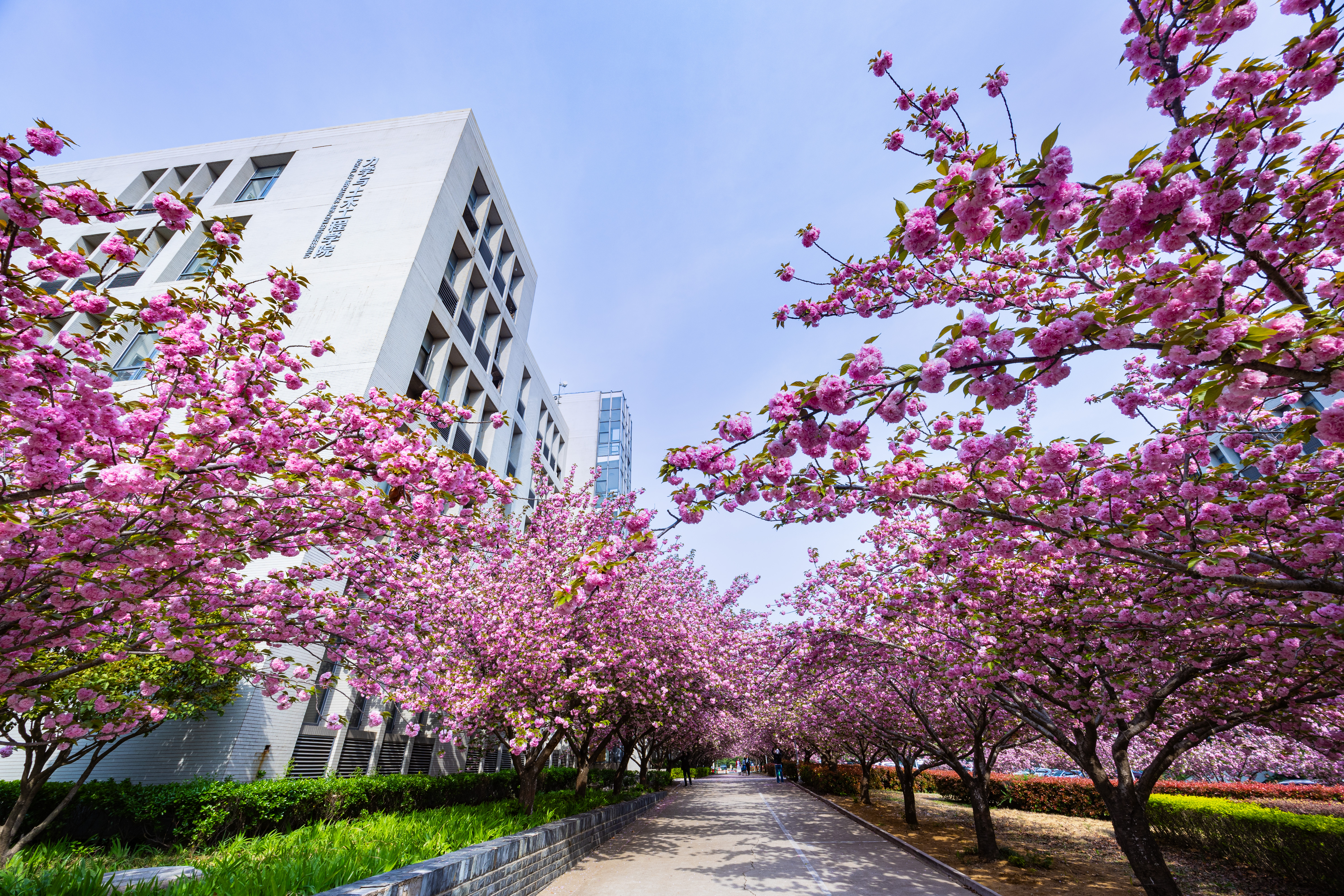 澳门六合彩最准资料