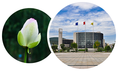 澳门六合彩最准资料